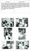 Click for larger image.