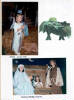 Click for larger image.
