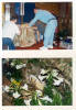 Click for larger image.