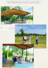 Click for larger image.