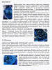 Click for larger image.